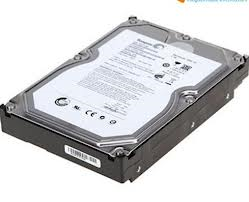 Seagate　　ST31000524AS